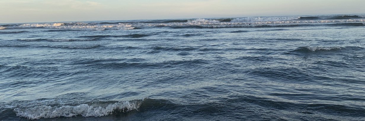 Pᴇᴅʀᴏ Rᴏsᴀ 🇾🇪 banner