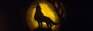 Em_Fellows's profile banner image