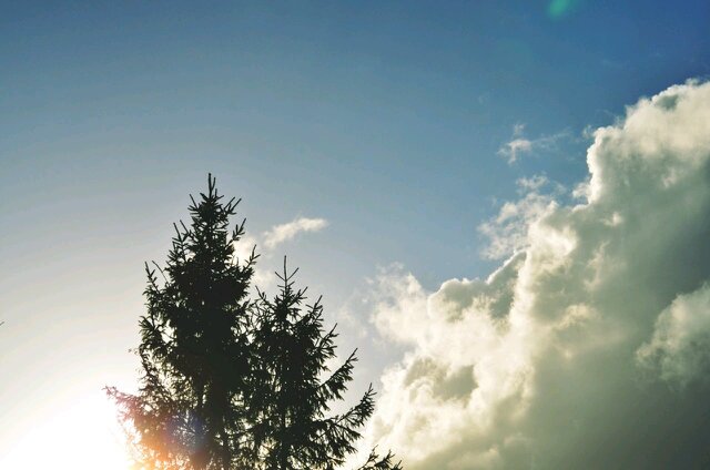 enishaputri's profile banner image