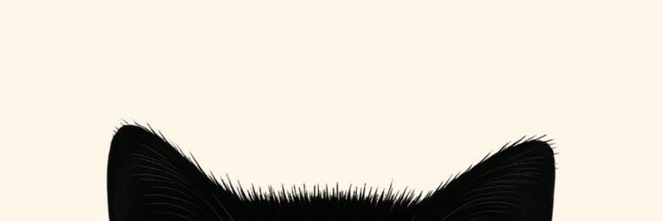 cikutttyii's profile banner image