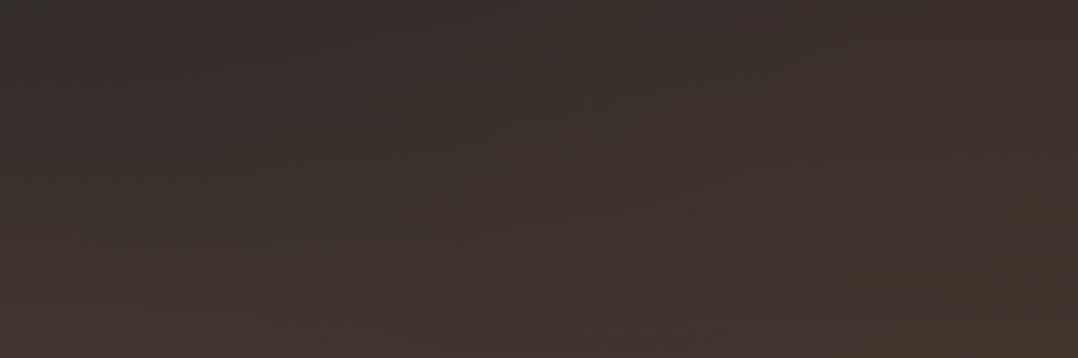 Brandon Rhodes banner