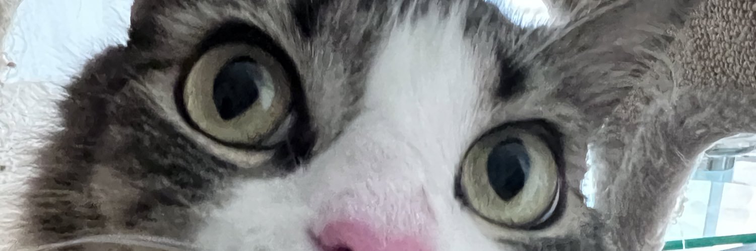 tabues's profile banner image