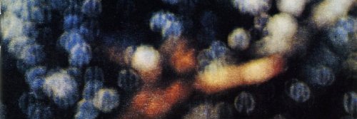 briannnelson's profile banner image