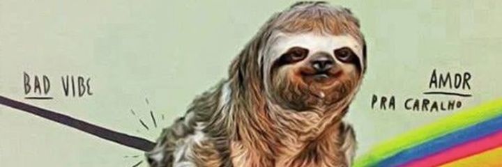 maisqueijopfv's profile banner image