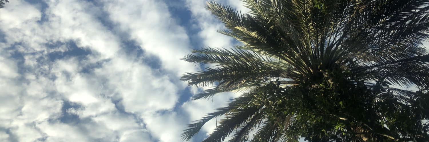 DMediaMission's profile banner image