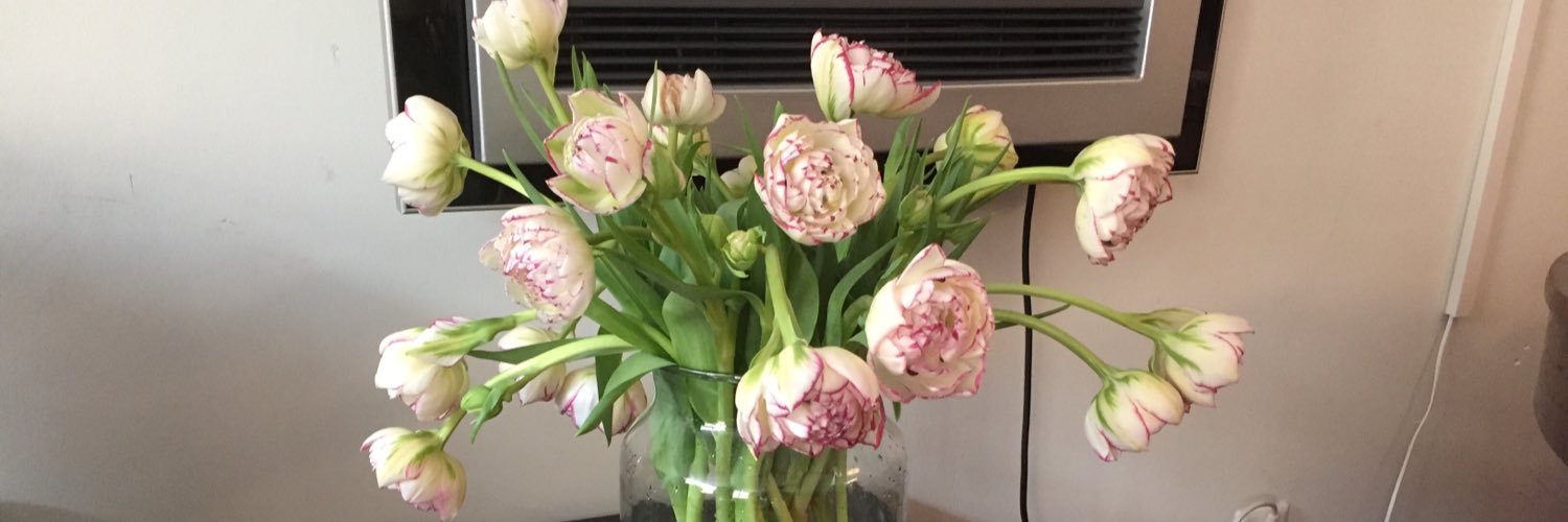 Maria Tillema banner