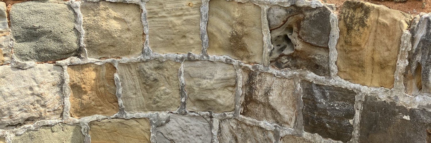 necopipipi's profile banner image
