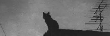 𝐌𝐚𝐫𝐢𝐧𝐚 𝐑𝐢𝐯𝐞𝐫𝐬 banner