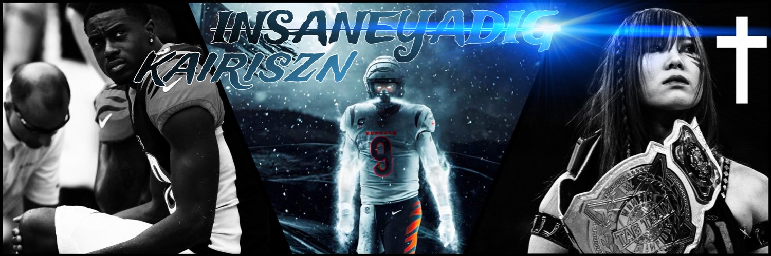 INSANEYADIG's profile banner image