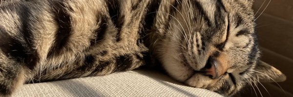 mao_ito05 Profile Banner