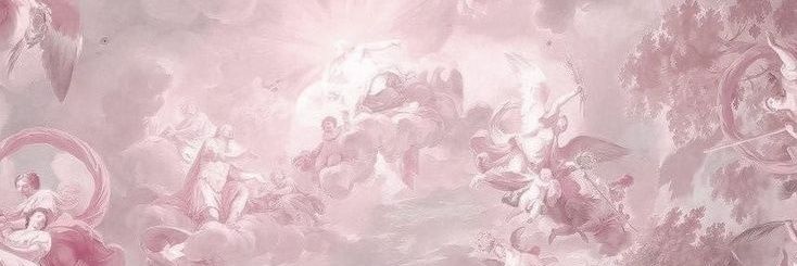 RIRI banner
