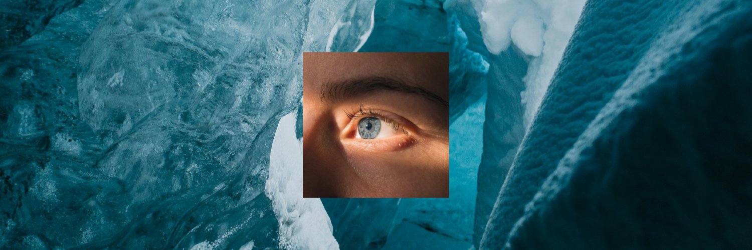 Arctic ICEBERG banner