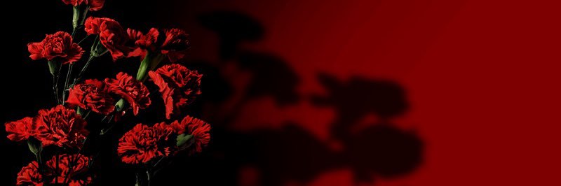 TiMikkel's profile banner image