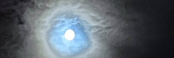 chao6989 Profile Banner