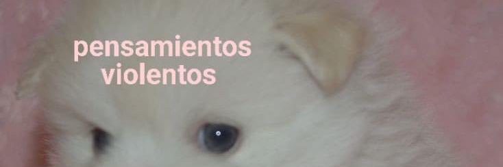 AntoooGreco's profile banner image