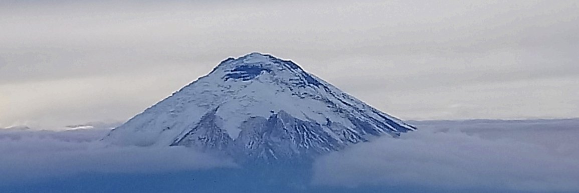 roberto1240's profile banner image