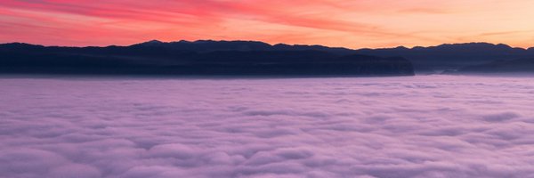 Zererexcs Profile Banner