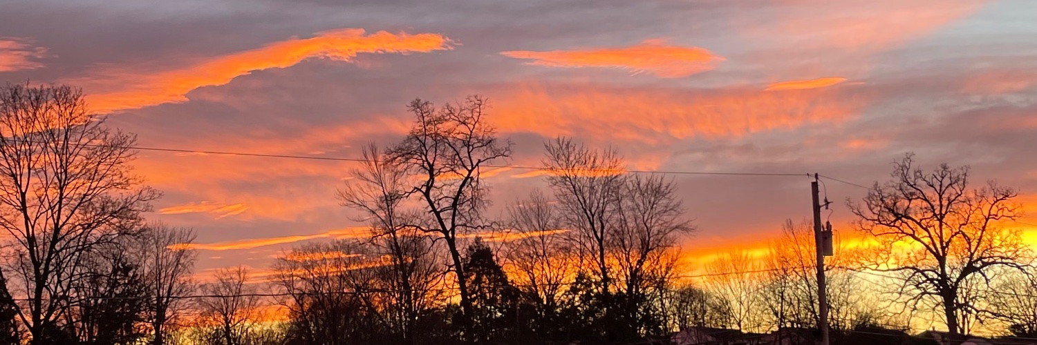 Lesléa Newman banner