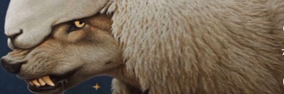 王船夫 banner