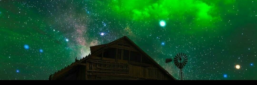 Dila_Ak's profile banner image