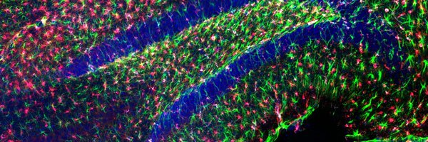 CSU_BIN Profile Banner