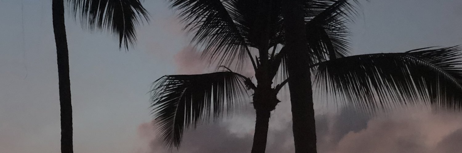 FernandaShehin's profile banner image