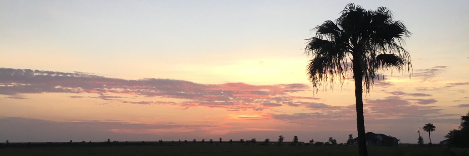 HowdySally's profile banner image