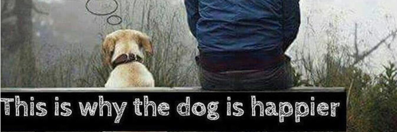 asmaclone🔞 banner