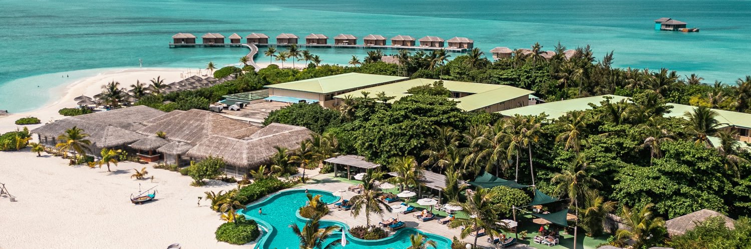 Nikita Gerasimov  banner