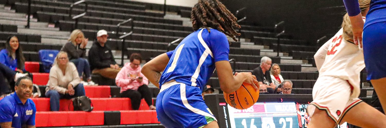 Freedom Pfeil banner