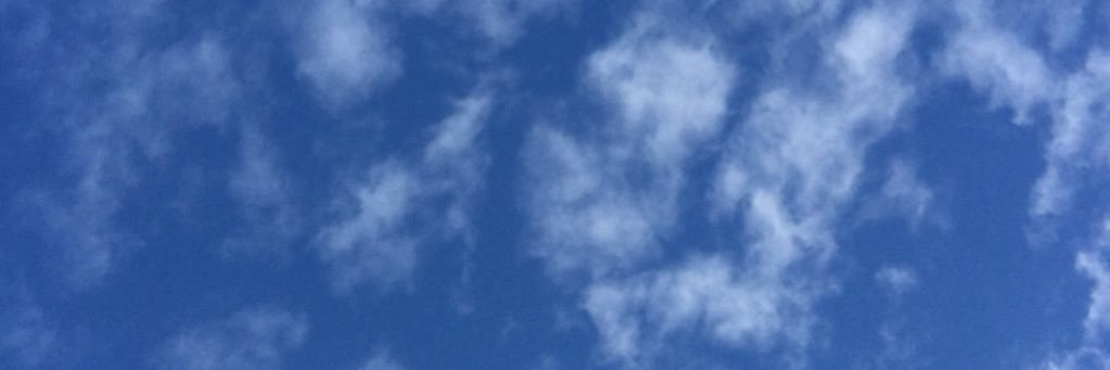 franceskirk's profile banner image