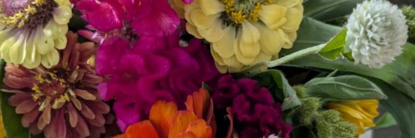 ms_oros Profile Banner