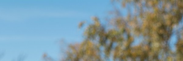 Floos_void Profile Banner