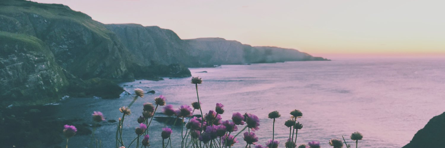 harriettatton's profile banner image