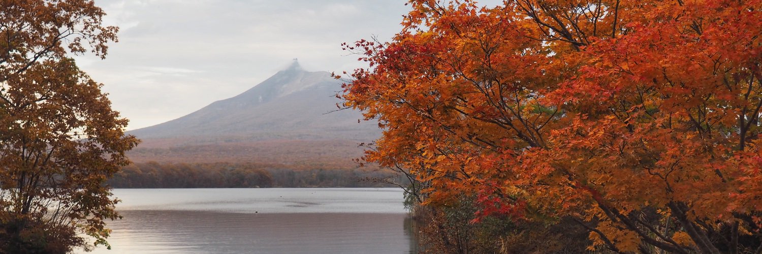 freakified 🚞 banner