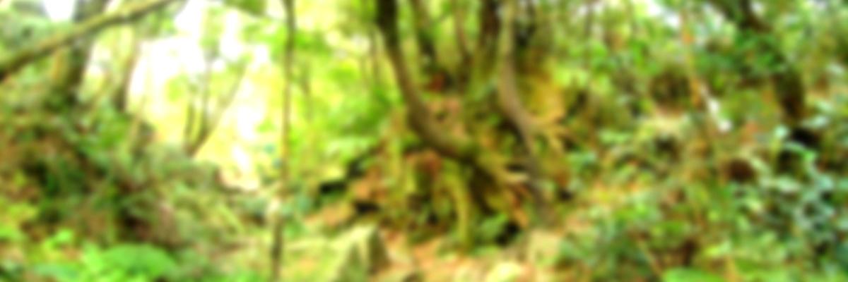 azazabc123's profile banner image