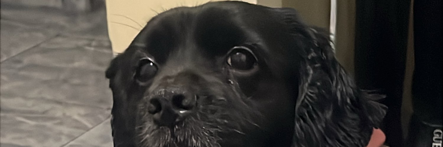 Flavianaeis's profile banner image