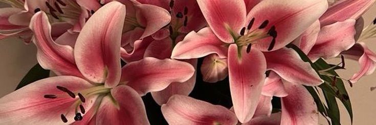 Samaira 💌 Lesbian lounge owner banner