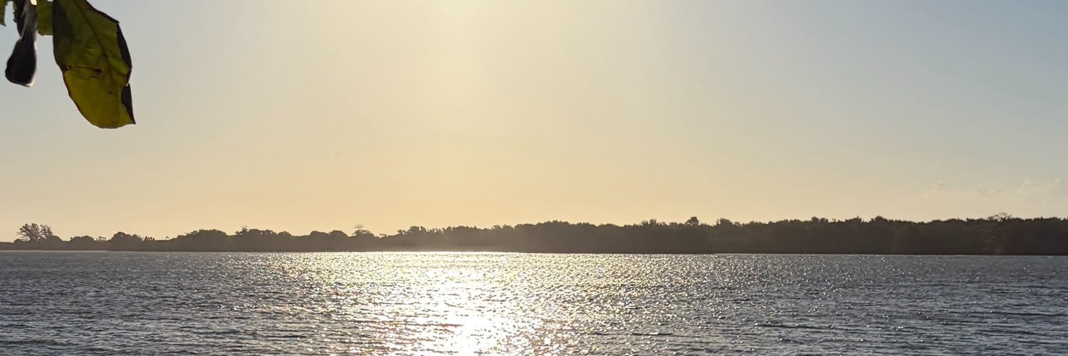 _carolinabrt's profile banner image