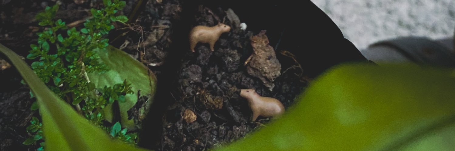 nautak_'s profile banner image