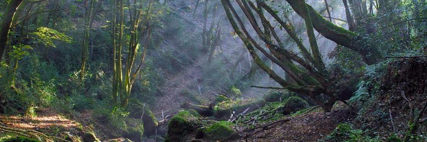 parcodiveio's profile banner image