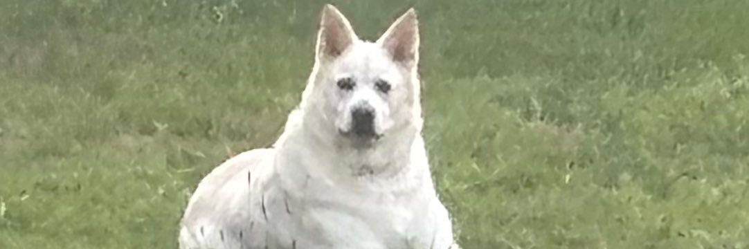 Georges730177's profile banner image