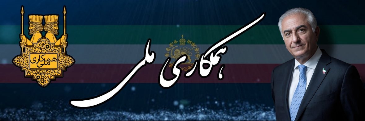 Mersedeh J.Z's banner