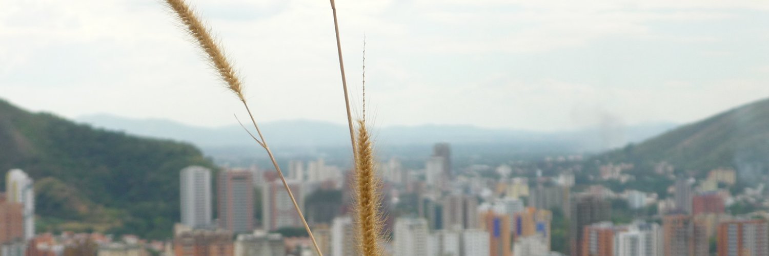 vecinotrigal's profile banner image