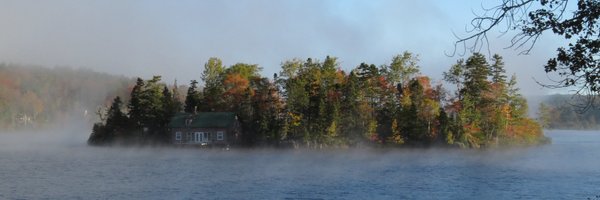 denisedavies Profile Banner