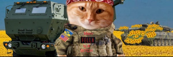 AceTheCat21 Profile Banner