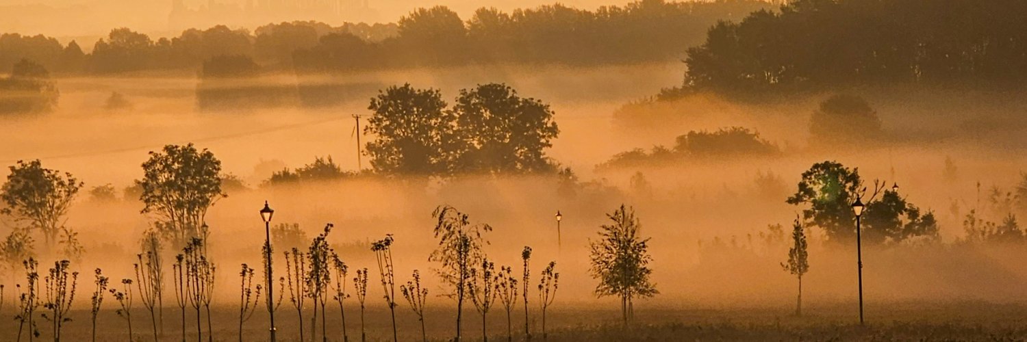 David Monk banner