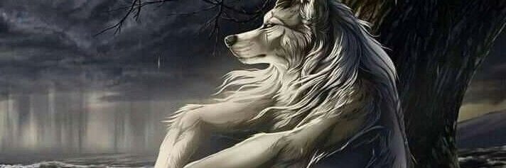 noRmiramore's profile banner image