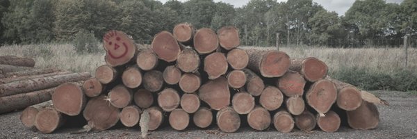 jg Profile Banner