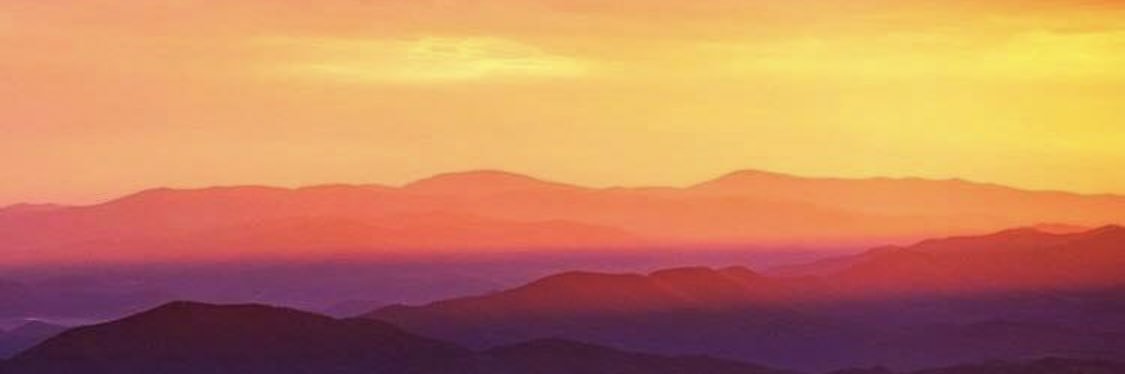 Twitt_erLACE's profile banner image